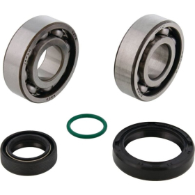 ALL BALLS Crankshaft Bearing & Oil Seal Kit Gas Gas / Husqvarna / KTM 50 24-25
