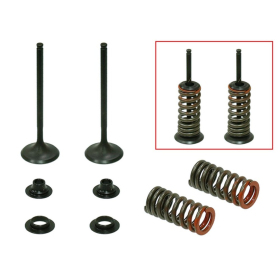 Psychic exhaust valves (valve set with springs and washers) Honda CRF 250 R 08-09