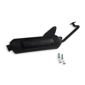 Exhaust MALOSSI Wild Lion Honda NSC / Vision 50cc 4T 11-17