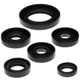 Winderosa (vertex) set of engine seals Can-Am DS 650 00–07