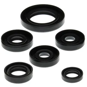 Winderosa (vertex) set of engine seals Can-Am DS 650 00–07