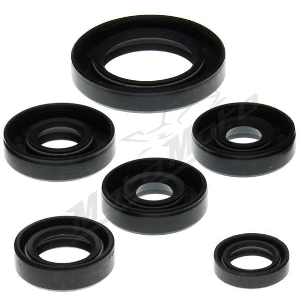 Winderosa (vertex) set of engine seals Can-Am DS 650 00–07