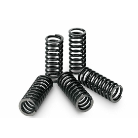 TECNIUM sankabos spyruoklių rinkinys 5 vnt. KTM EXC 125 06-08