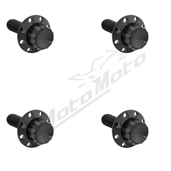 ARLEN NESS Titanium 12-Point Windshield Bolts