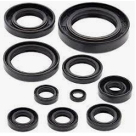 Winderosa (vertex) set engine seals Yamaha YZ 250 1998