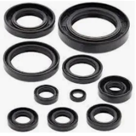 Winderosa (vertex) set engine seals Yamaha YZ 250 1998