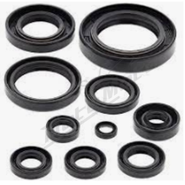 Winderosa (vertex) set engine seals Yamaha YZ 250 1998