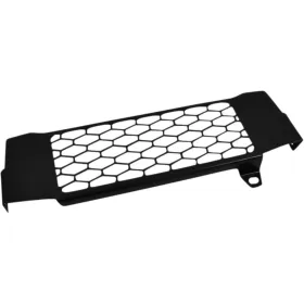 ZIEGER Radiator Guard Honda CB 125 R 18-22