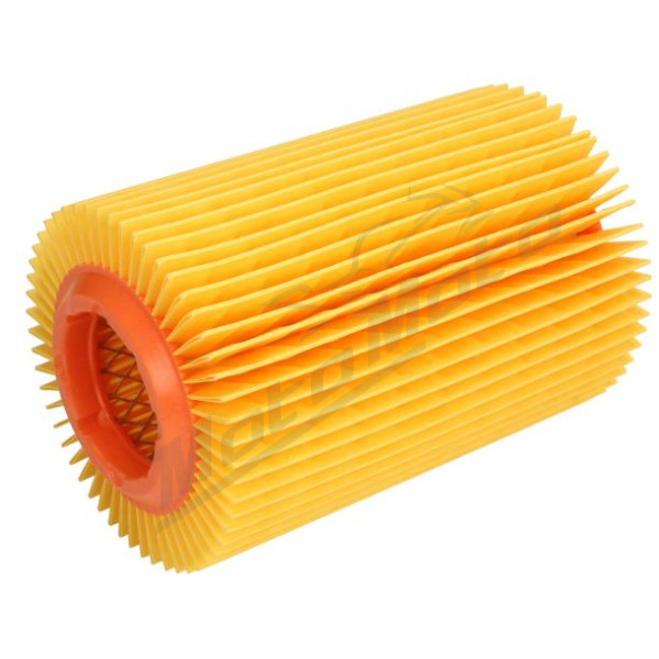 RMS Oro filtras Piaggio Ape 420cc 1986-2004
