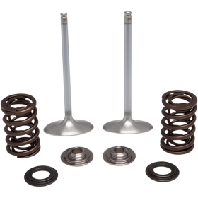 KIBBLEWHITE Intake Stainless Conversion Valve and Spring Kit Kawasaki KX 250 17-19