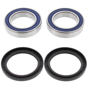 ALL BALLS Rear wheel bearings and seals Suzuki LT-500R 87-90