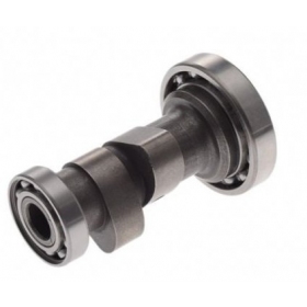 Camshaft ZS154FMI-2