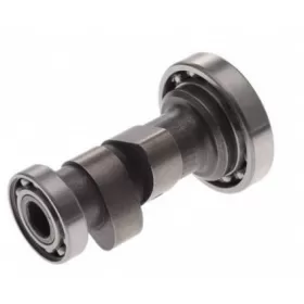 Camshaft ZS154FMI-2