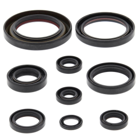Winderosa (vertex) set (set) of engine seals Honda TRX 450 ER / R 06-14