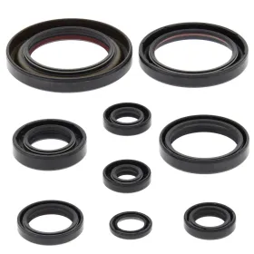 Winderosa (vertex) set (set) of engine seals Honda TRX 450 ER / R 06-14