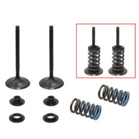 Psychic intake valves set Husqvarna / KTM 350cc 13-22