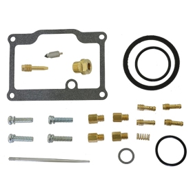 Sno-X Carburetor repair kit Arctic Cat Panther / Z 370-440 92-08
