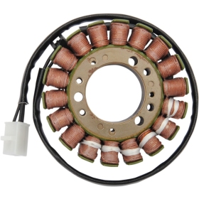 RICK'S MOTORSPORT ELECTRIC Stator Triumph Speed Triple / Sprint / Tiger 955cc 01-06