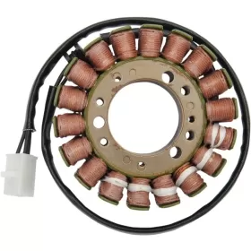 RICK'S MOTORSPORT ELECTRIC Generatorius Triumph Speed Triple / Sprint / Tiger 955cc 01-06