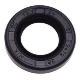 Oil seal 13,7x24x5