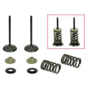 Psychic intake valves set (31x4.47x79.3mm) KAWASAKI KXF 250 09-10