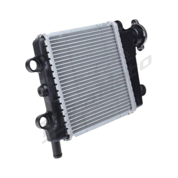 Radiator Yamaha Nmax 125-155 17-20