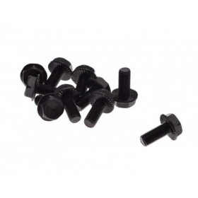 Bolts M8x1 (length 16mm) 10pcs