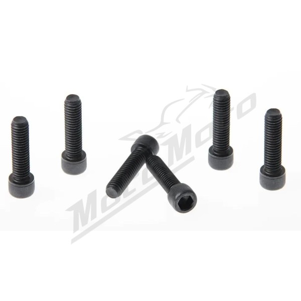 CULT WERK Fork Triple Clamp Screws Harley Davidson 1750-1923cc 2018-2023 6pcs