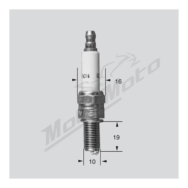 CHAMPION Champion Spark Plug Honda / Suzuki / Yamaha 50-900 06-25 P-RG6HCC