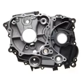 Left side engine crankcase SHINERAY XY125-10D