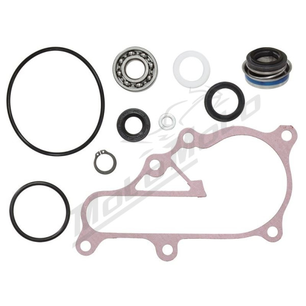 BRONCO Water Pump Repair Kit Yamaha Raptor 700R 06-21