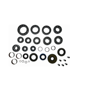 ALL BALLS Galinio reduktoriaus remonto kompl. Polaris ACE 570 17-19