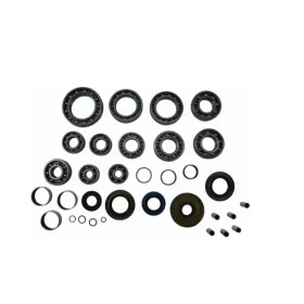 ALL BALLS Galinio reduktoriaus remonto kompl. Polaris ACE 570 17-19