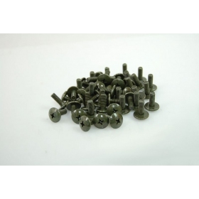 Bolt M6x1 (length 19,5mm) 1pc