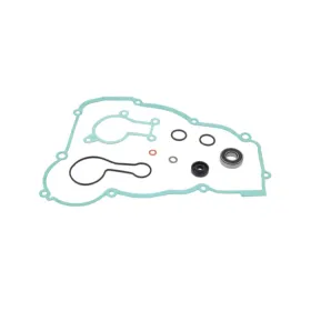Psychic water pump repair kit Beta RR / Xtrainer 250-300cc 13-23
