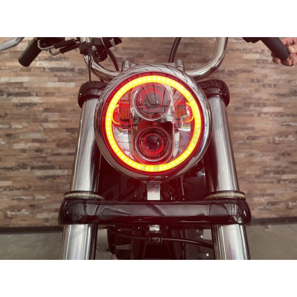 CUSTOM DYNAMICS ProGLOW™ LED Headlamp with Color Changing Halo Harley Davidson FLSTSB / FLSTSE 883-1800cc 81-24