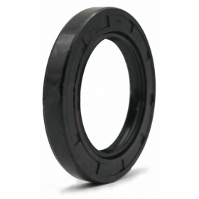 Oil seal 10x22x6 TC (double lip)