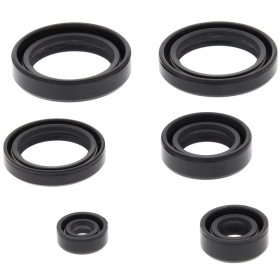 Winderosa (vertex) set of engine seals Honda TRX 400 FA / FGA 04-07