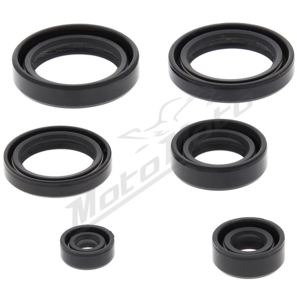 Winderosa (vertex) set of engine seals Honda TRX 400 FA / FGA 04-07