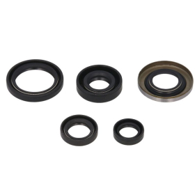 Winderosa Engine simmerings' sets Honda TRX 400 99-04