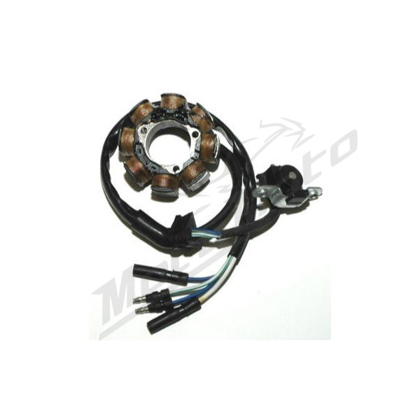 ELECTROSPORT Generatorius HONDA CRF 450R 02-04