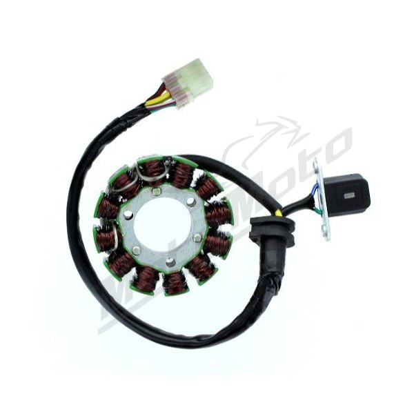 ELECTROSPORT Stator Suzuki RM-Z 250-450cc 08-13