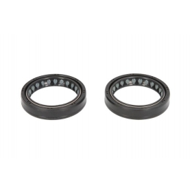 Oil seals P40FORK455085 / 55-135 45X58X11 BMW / CAGIVA / HUSQVARNA / MOTO GUZZI 125-1200 1998-2013 2pcs