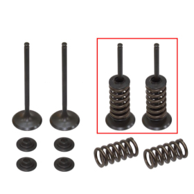 Psychic Valve set with springs and washers. Husaberg / KTM 250cc 08-14
