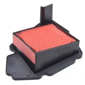 Oro filtras QJMOTOR SRV125