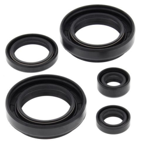 Winderosa (vertex) set of engine seals Arctic Cat / Suzuki 400 03-12