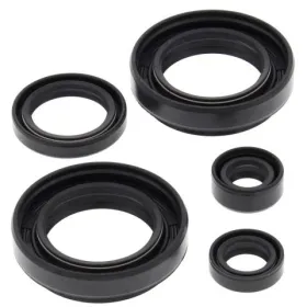 Winderosa (vertex) set of engine seals Arctic Cat / Suzuki 400 03-12