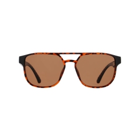 Spect Red Bull Elroy Sunglasses Shiny Havana w Brown lens