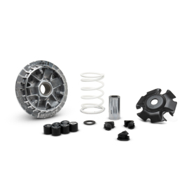 Variatorius MALOSSI Maxi Multivar 2000 Yamaha / MBK 125-160cc 12-19 H2O 4T