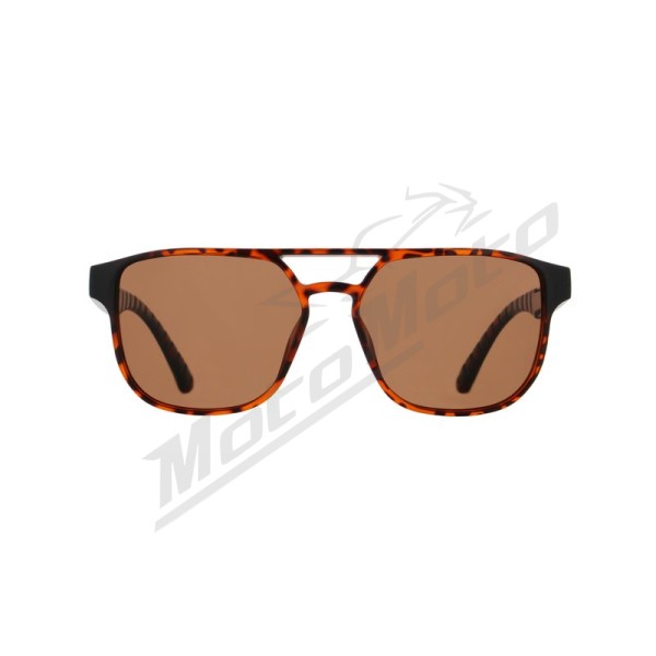 Spect Red Bull Elroy Sunglasses Shiny Havana w Brown lens